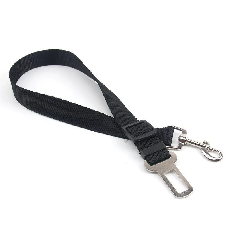 Separate tether accessory pictured on a white background